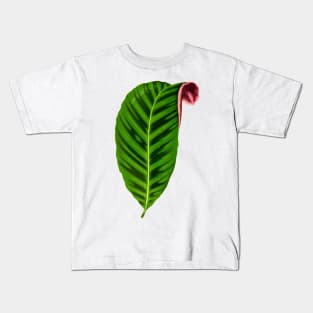 Calathea Zebrina - Rothschild Kids T-Shirt